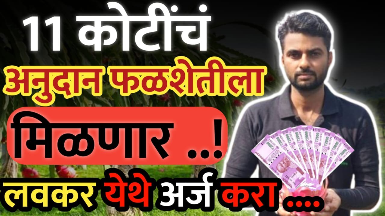 ११ कोटींचं अनुदान फळशेतीला मिळणार