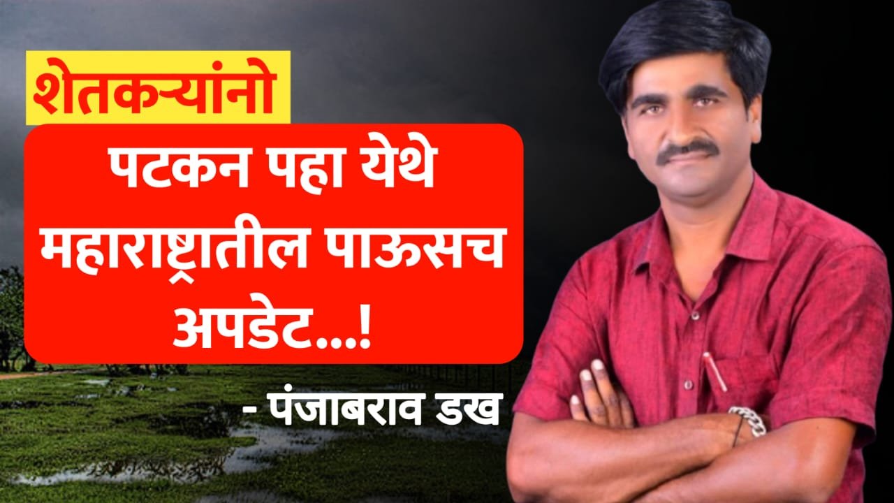 महाराष्ट्रातील पावसाचं अपडेट