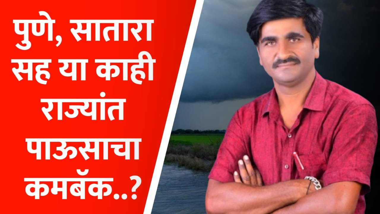 पावसाचं राज्यात दमदार कमबॅक