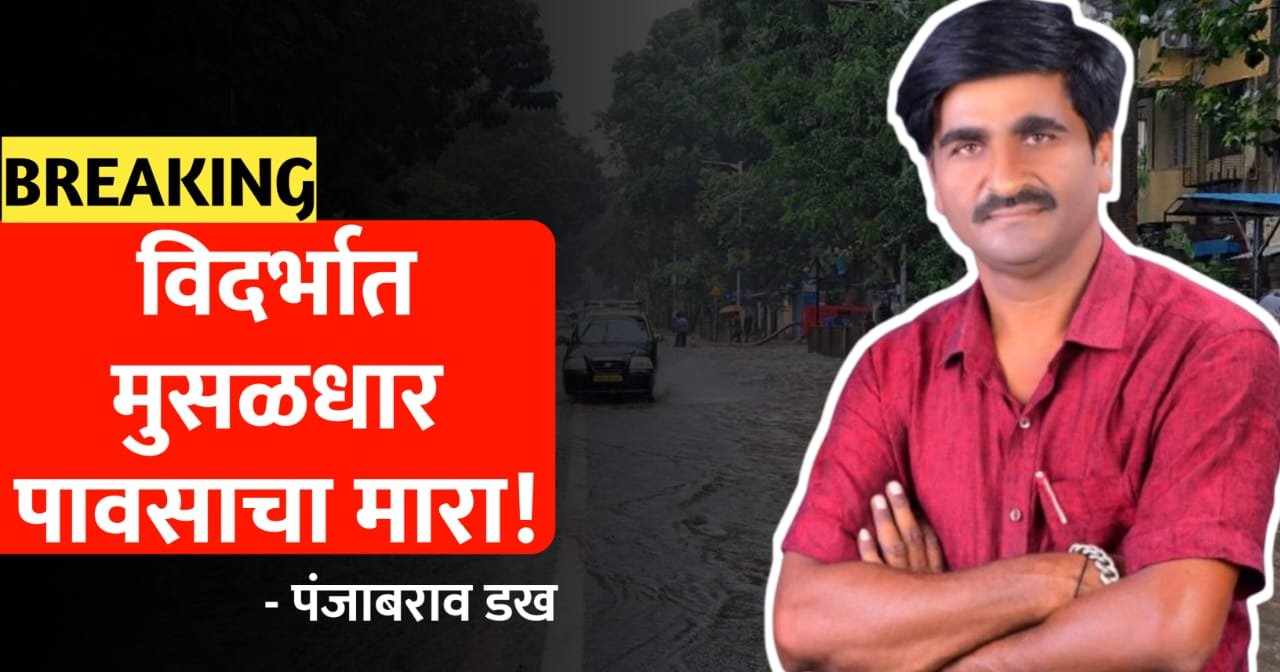 विदर्भात मुसळधार पावसाचा मारा