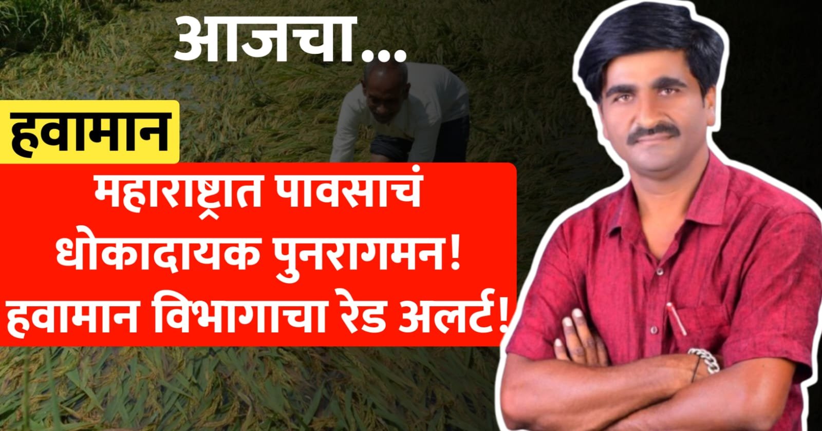महाराष्ट्रात पावसाचं धोकादायक पुनरागमन