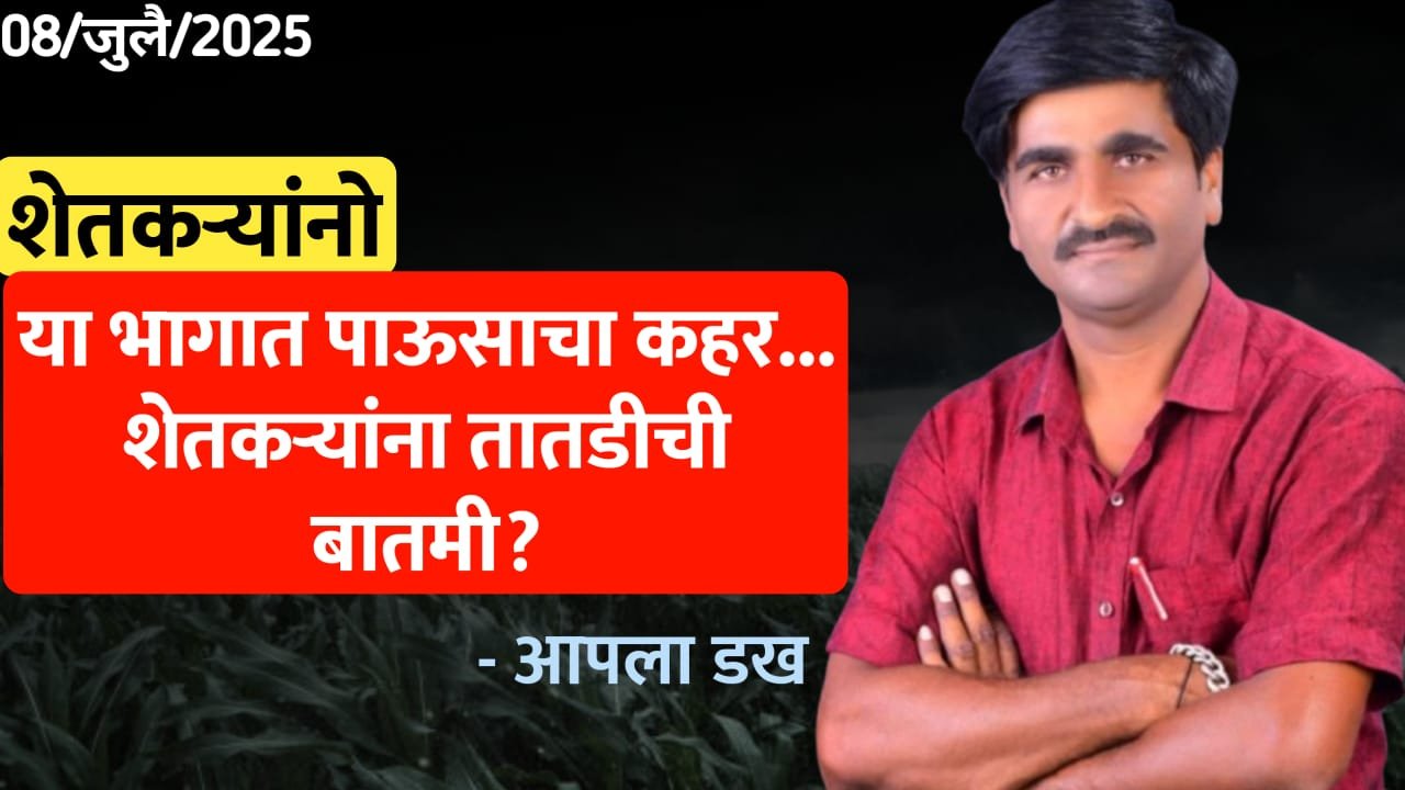 या विभागात पावसाचा कहर